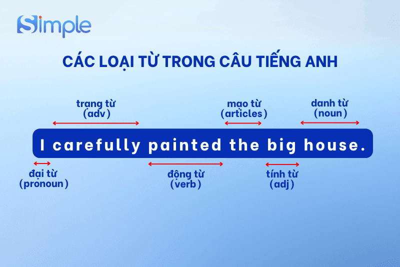 Ngữ pháp tiếng Anh cơ bản về loại từ: đại từ, danh từ, động từ, tính từ và trạng từ trong câu