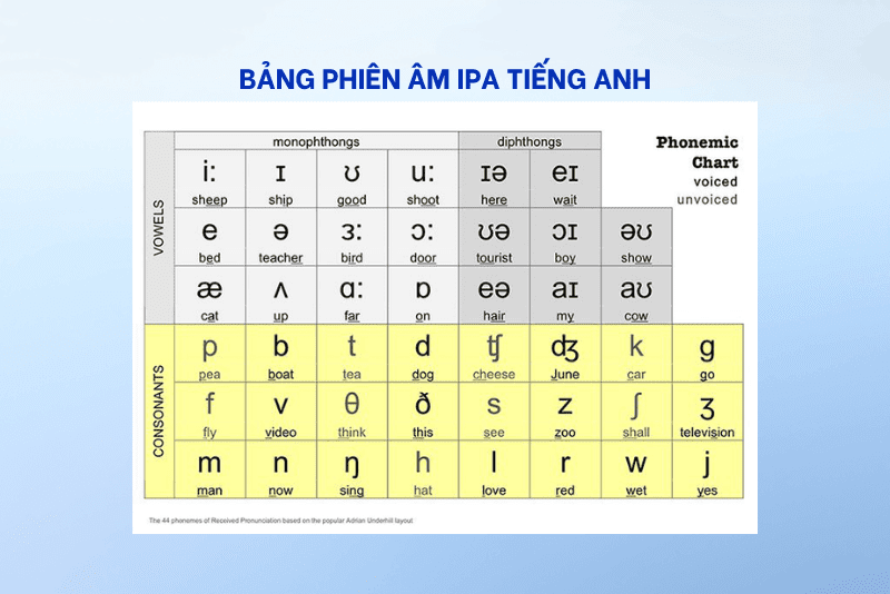 Bảng hệ thống phiên âm tiếng Anh IPA (International Phonetic Alphabet)