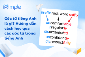 Gốc từ tiếng Anh là gì? Hướng dẫn cách học qua các gốc từ trong tiếng Anh